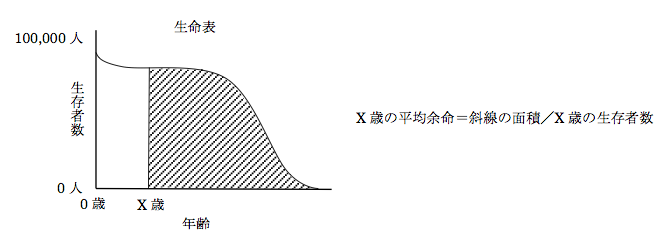 解説画像